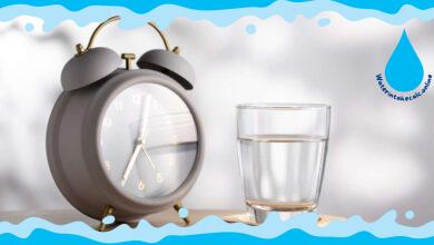 Does the Time of Day You Drink Water Matter